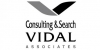 Vidal Associates Consulting And Search